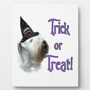 Sealyham Terrier Trick oder Treat Fotoplatte