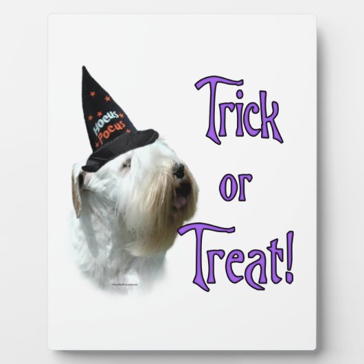 Sealyham Terrier Trick oder Treat Fotoplatte (Vorderseite)