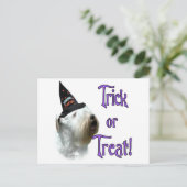 Sealyham Terrier Trick Postkarte (Stehend Vorderseite)