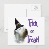 Sealyham Terrier Trick Postkarte (Vorne/Hinten)