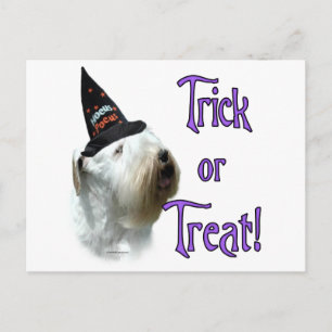 Sealyham Terrier Trick Postkarte