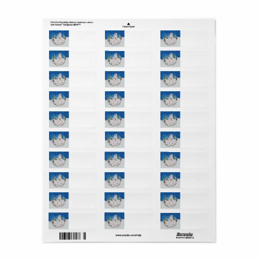 Sealyham Terrier Winter (Vorne)