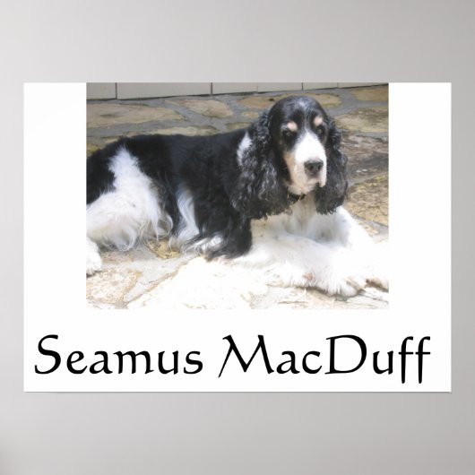 Seamus MacDuff Poster (Vorne)