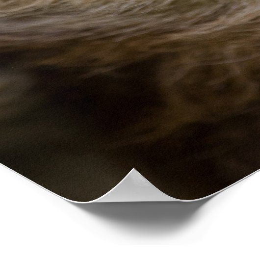 Sean Graesser Sloth Poster (Ecke)