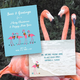 Seas n Greetings Flamingos Custom Holiday Postcard Postkarte