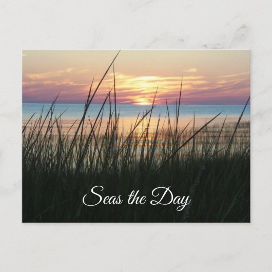 Seas the Day, Ermutigungsquote Postkarte (Vorderseite)