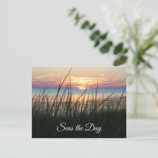 Seas the Day, Ermutigungsquote Postkarte (Stehend Vorderseite)