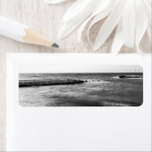 Seascape (Insitu)