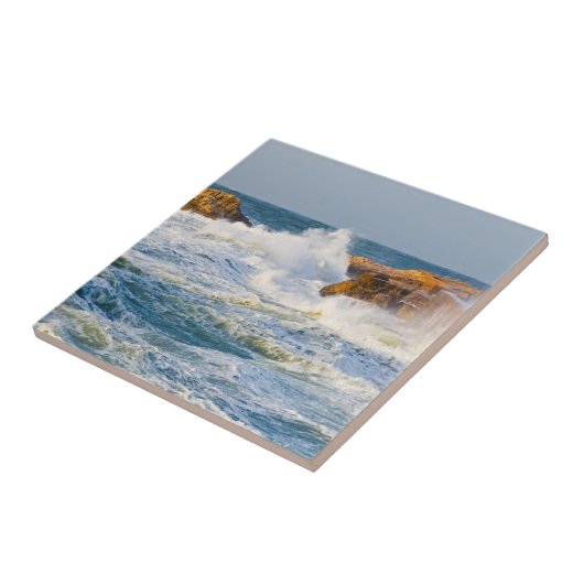 Seascape Fliese (Seite)