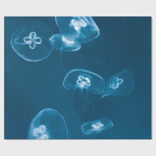 Seascape Geschenkpapier (Flach)