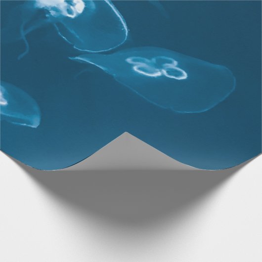 Seascape Geschenkpapier (Ecke)