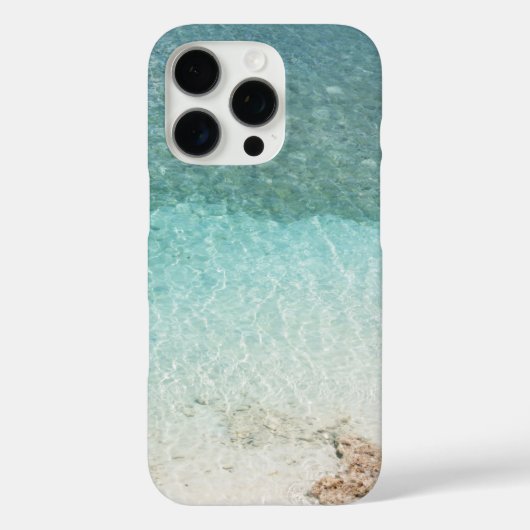 Seascape mit Strand, Great Wave & Mount Sea Case (Rückseite)