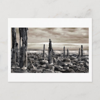 Seascape - Morgenvorführungen Postkarte