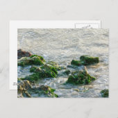 Seascape Postkarte (Vorne/Hinten)