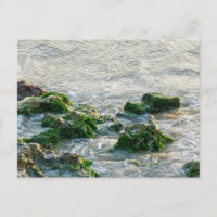 Seascape