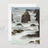 Seascape und Seestacks, Shetland Postkarte (Vorne/Hinten)