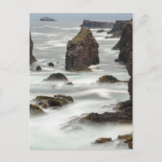 Seascape und Seestacks, Shetland Postkarte (Vorderseite)