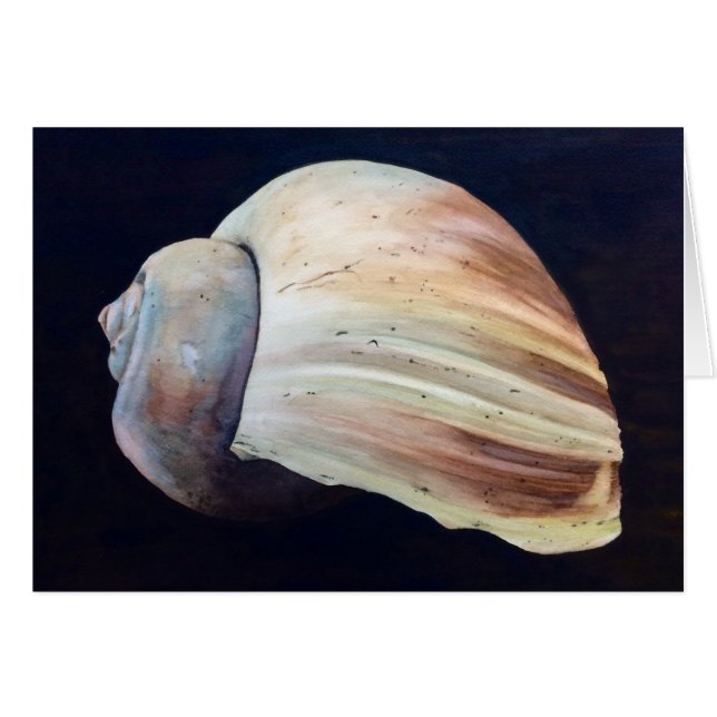 Seashell (Vorderseite (Horizontal))