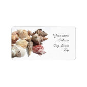 Seashell Address Labels Adressaufkleber (Vorne)