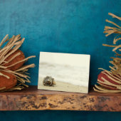 Seashell allein am Strand Fotoplatte (Seite)