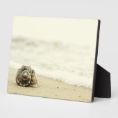 Seashell allein am Strand Fotoplatte (Seite)