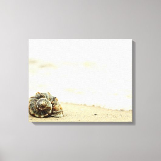 Seashell allein am Strand Leinwanddruck (Vorderseite)