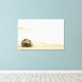 Seashell allein am Strand Leinwanddruck (Insitu (Holzboden))