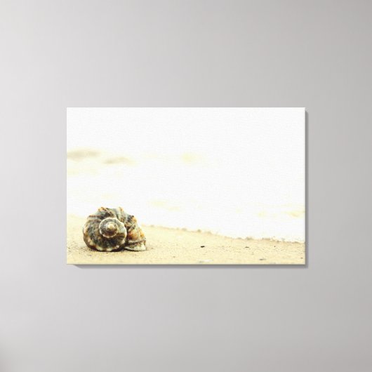 Seashell allein am Strand Leinwanddruck (Vorderseite)