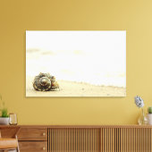 Seashell allein am Strand Leinwanddruck (Insitu (Wohnzimmer))