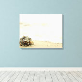 Seashell allein am Strand Leinwanddruck (Insitu (Holzboden))