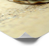 Seashell allein am Strand Poster (Ecke)