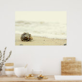 Seashell allein am Strand Poster (Küche)