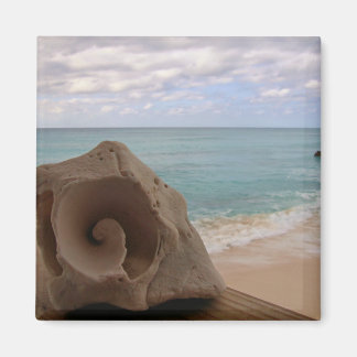 Seashell am Beach Foto Magnet