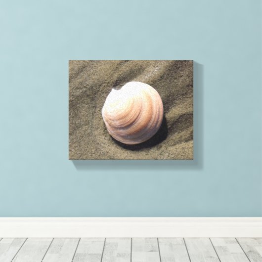 Seashell am Sand Leinwanddruck (Insitu (Holzboden))