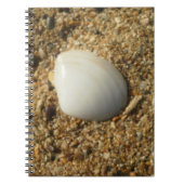 Seashell am Sand Notizblock (Vorderseite)