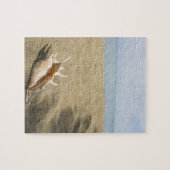 Seashell am Sandstrand Puzzle (Horizontal)
