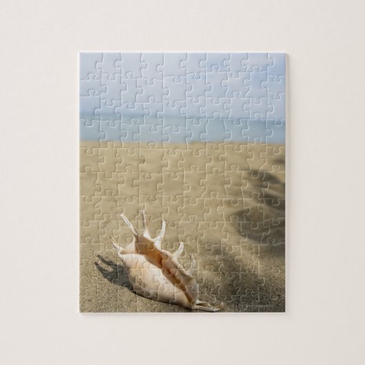 Seashell am Sandstrand Puzzle (Vertikal)