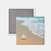 Seashell am Strand Magnet (Vorderseite/Rückseite)