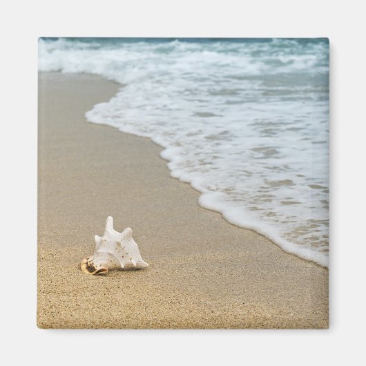 Seashell am Strand Magnet (Vorne)