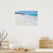 Seashell am Strand Poster (Küche)