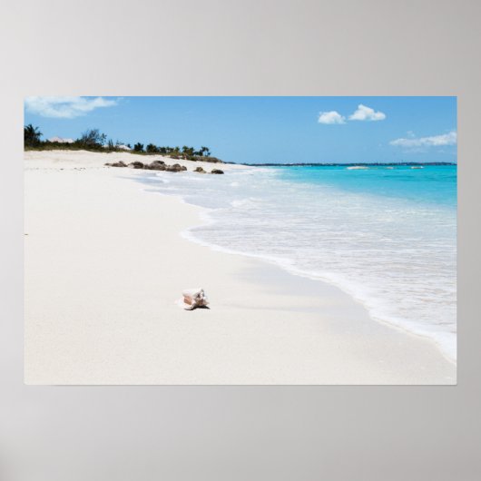 Seashell am Strand Poster (Vorne)