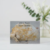 Seashell am Strand Postkarte (Stehend Vorderseite)