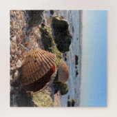 Seashell am Strand Puzzle (Horizontal)