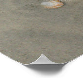 Seashell am Strandplakat Poster (Ecke)