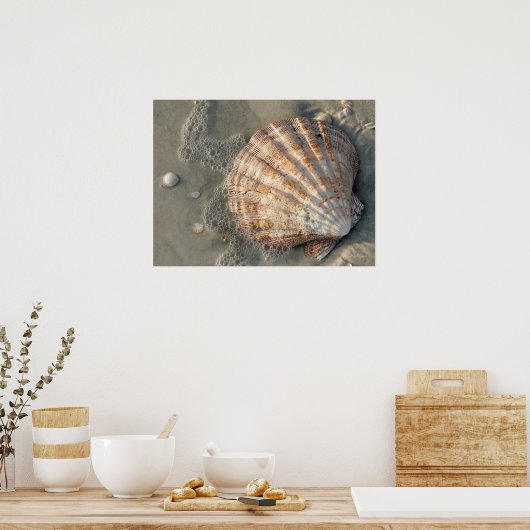 Seashell am Strandplakat Poster (Küche)