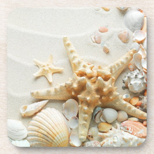 Seashell am Untersetzer (Vorderseite)