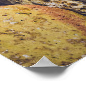 Seashell an der Küste Poster (Ecke)