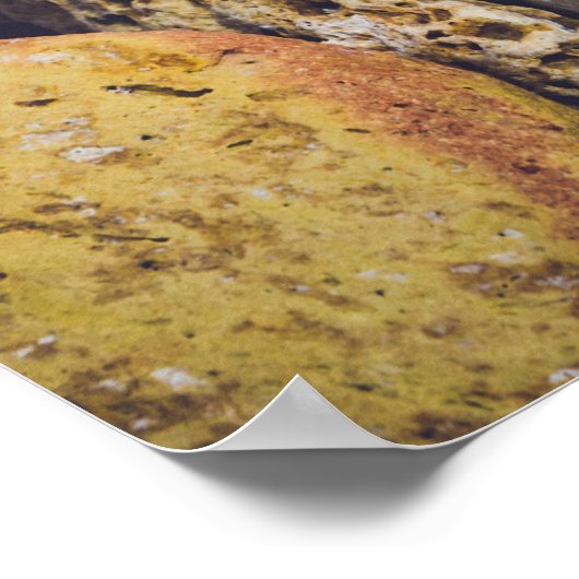 Seashell an der Küste Poster (Ecke)