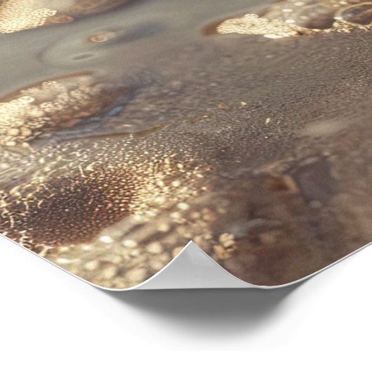 Seashell and Sunlit Foam: Küstensteigkeit Poster (Ecke)