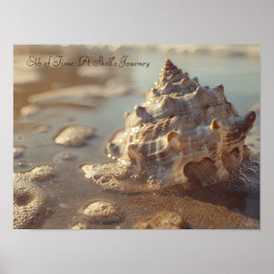 Seashell and Sunlit Foam: Küstensteigkeit Poster